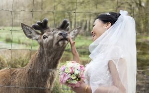 hochzeitsfotograf chris zeilfelder