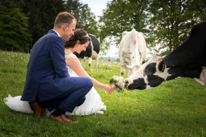 hochzeitsshooting auf der kuhwiese koenigswinter