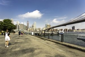 new york city